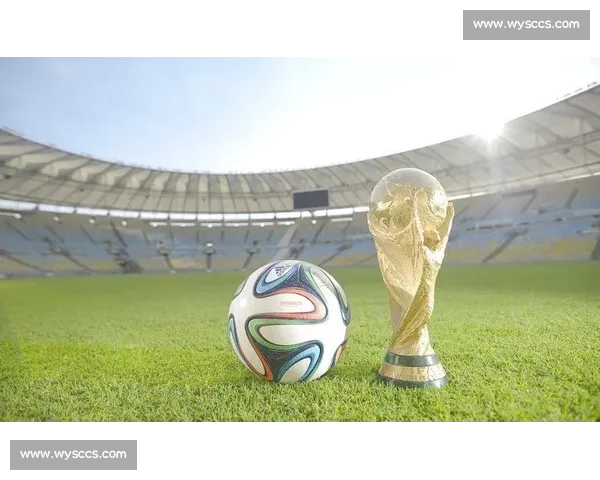 全球体育平台综合排名权威榜单解析与趋势分析 全球体育平台综合排名权威榜单解析与趋势分析